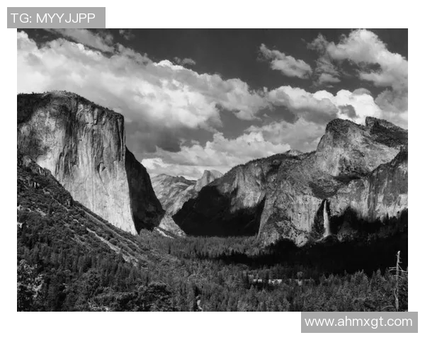 亚当斯的传奇人生与不朽贡献:探索科学与人文的交汇点 亚当斯的传奇人生与不朽贡献:探索科学与人文的交汇点