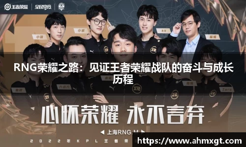 RNG荣耀之路：见证王者荣耀战队的奋斗与成长历程