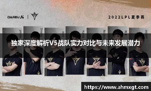 独家深度解析V5战队实力对比与未来发展潜力