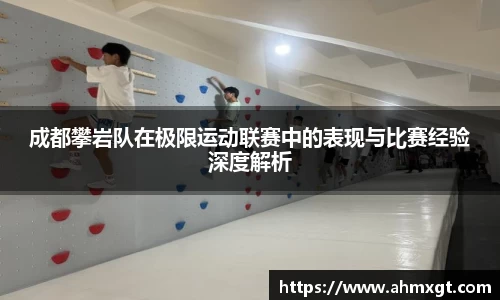 易倍emc官网