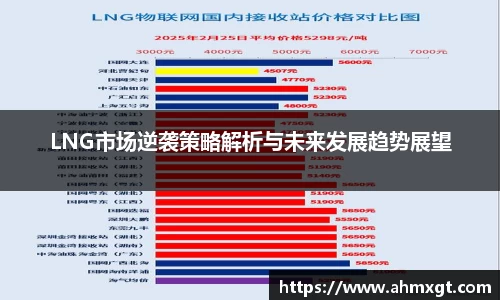 LNG市场逆袭策略解析与未来发展趋势展望